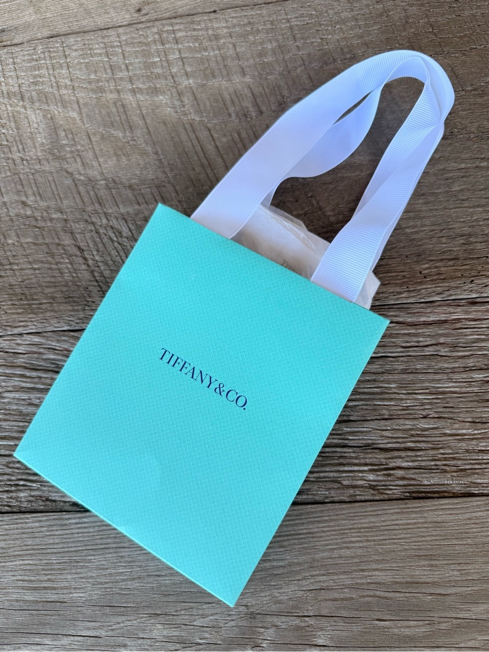 Tiffany & Co. Robin's Egg Blue Gift Bag with White Card & Tissue Paper - Picture 4 of 4